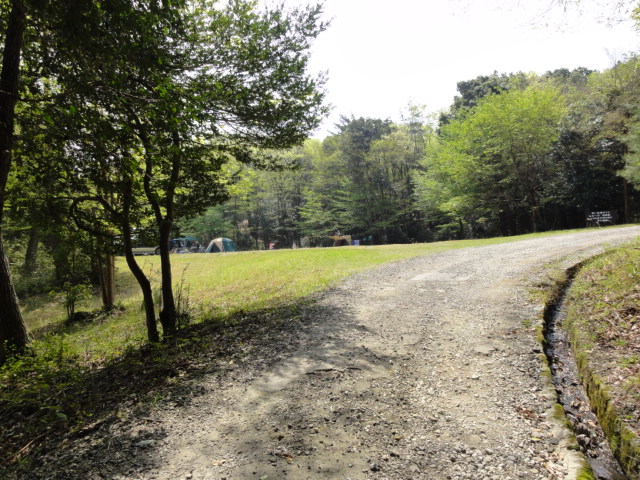 キャンプ場　道路
