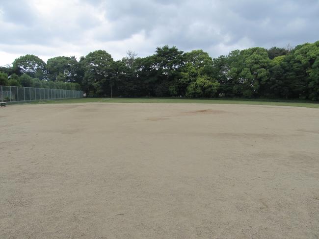 野球場