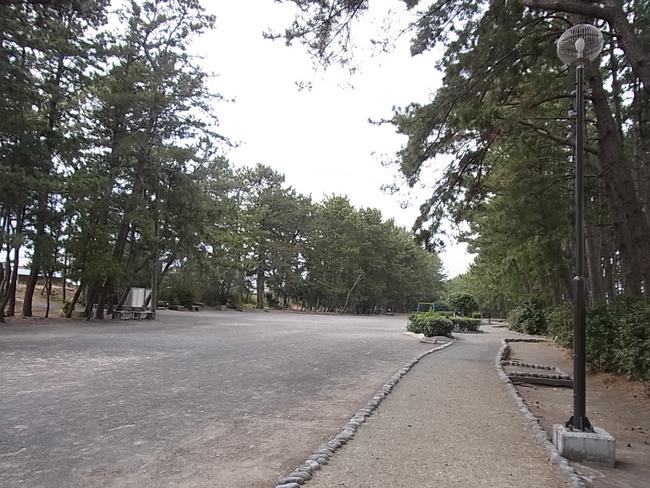 園内遊歩道