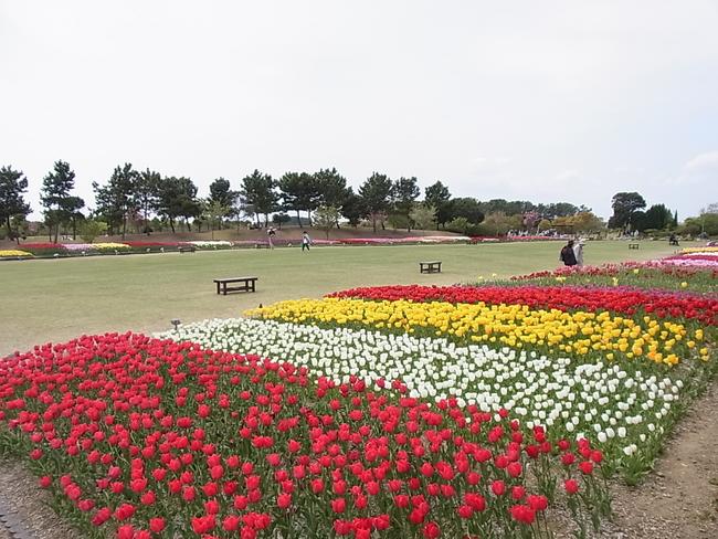 静岡県営　吉田公園　多目的芝生広場