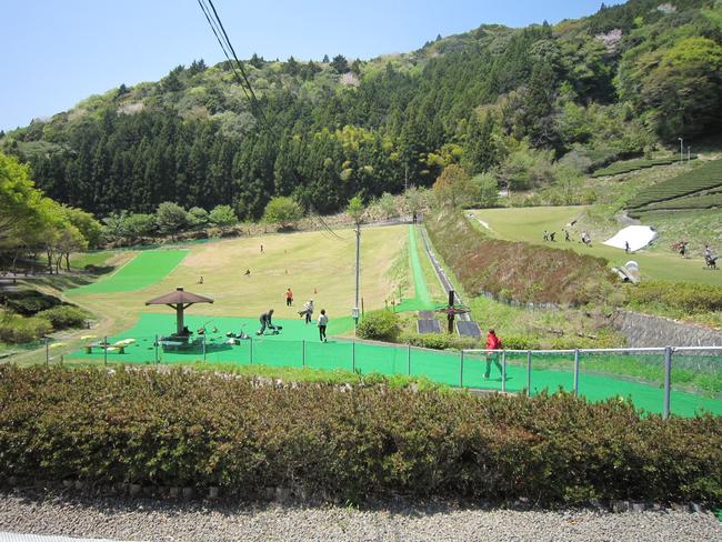 全景