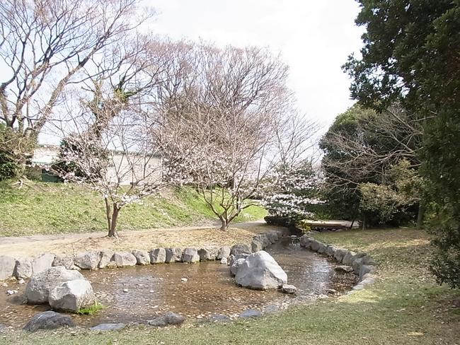 栃山川緑地公園　小川