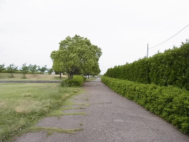 遊歩道