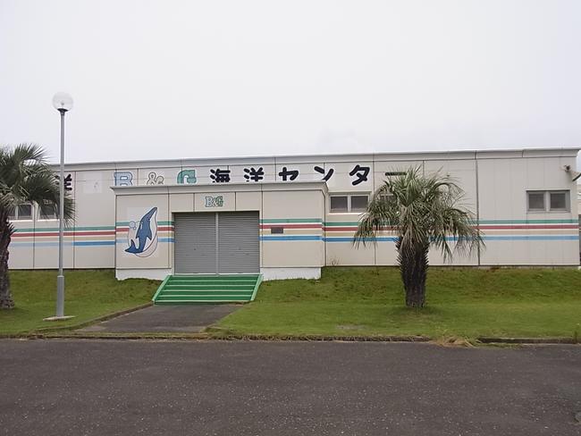 入口