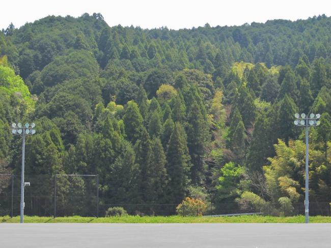 山側