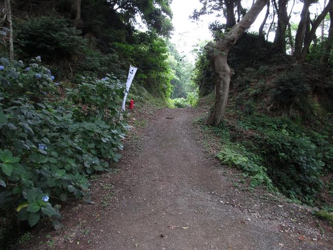 切り堀と土橋
