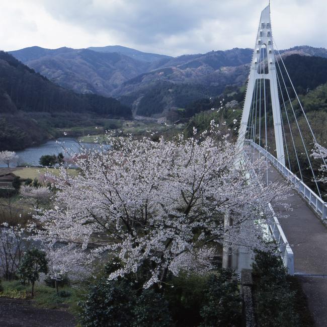 松川湖（エコーブリッジ）