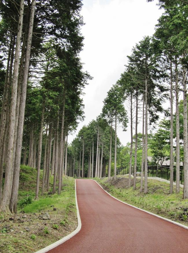 通路