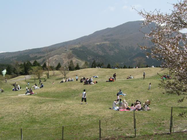 富士山こどもの国　草原の国　草原の丘