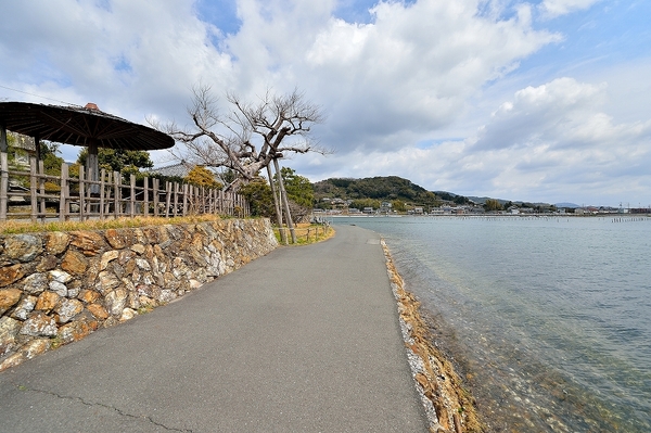 浜名湖５（プリンス岬）