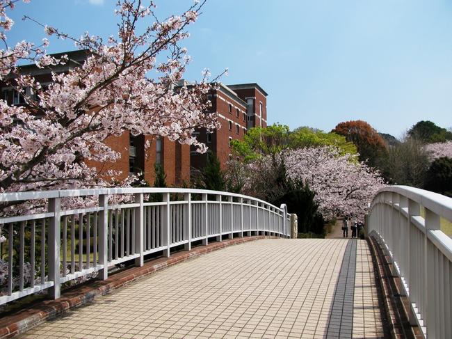 はばたきの橋