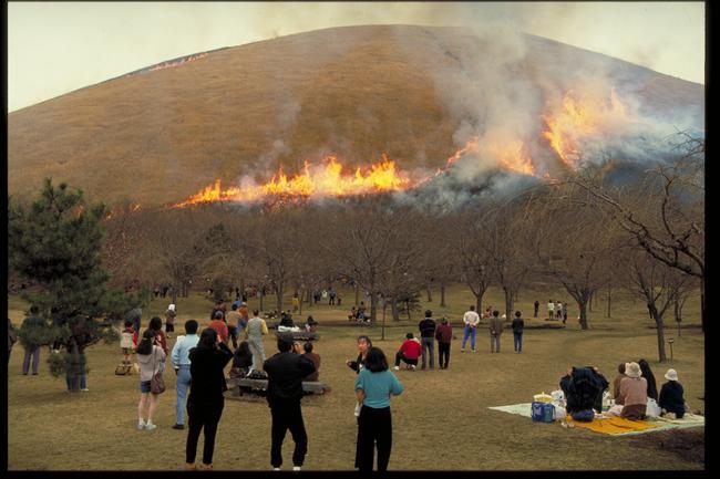 大室山山焼き