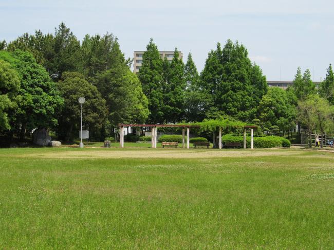 芝生広場・パーゴラ