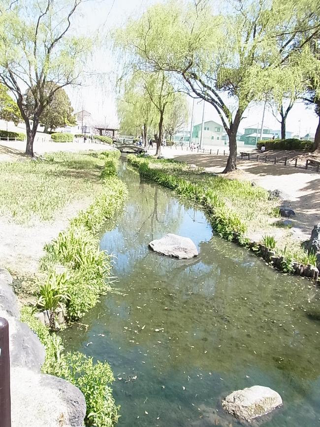 小川