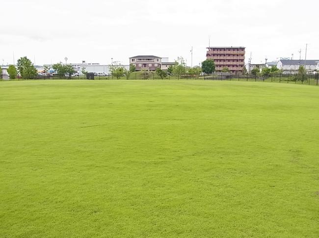 芝生広場