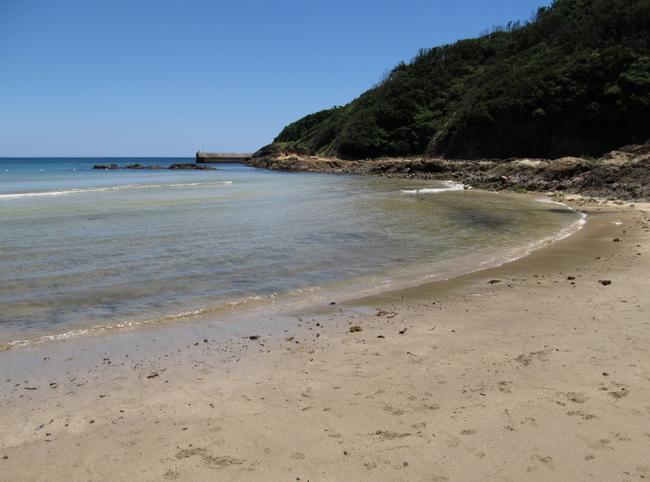 波打ち際