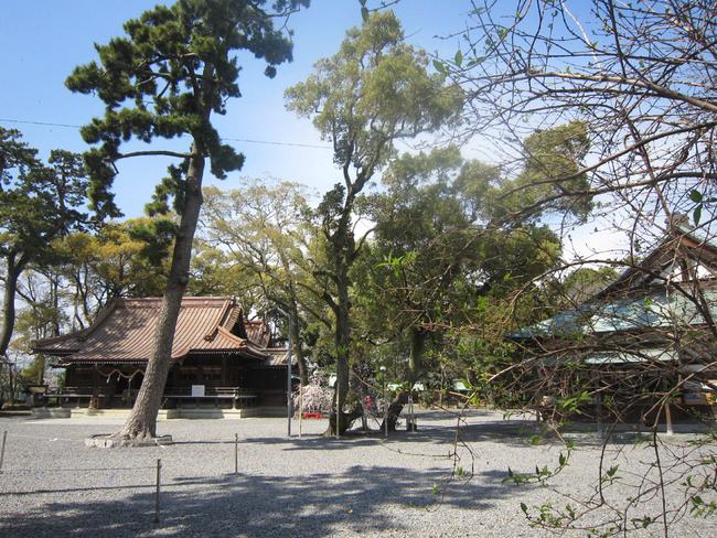 全景