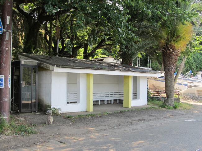 西浦地区 長井崎周辺