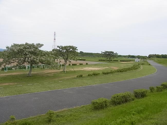 全景