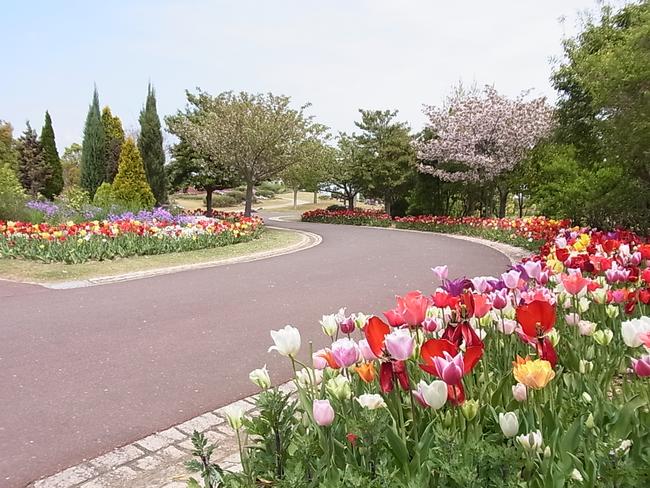 花の道