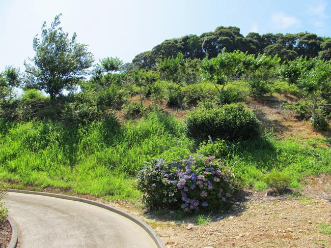 花木園