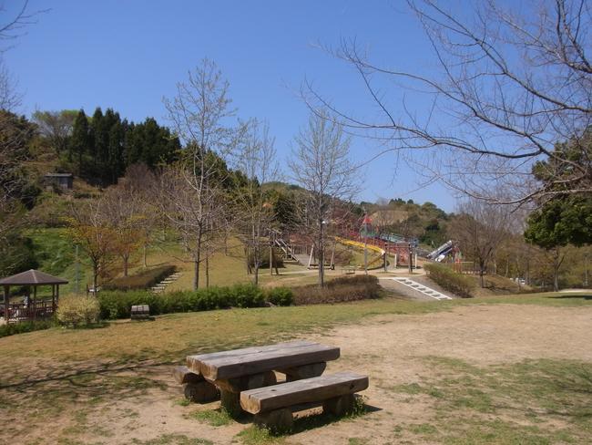 全景