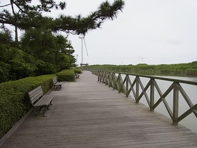 全景