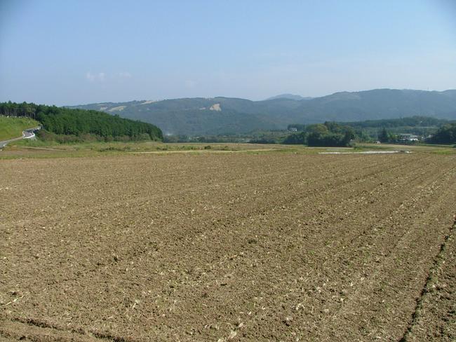 田園