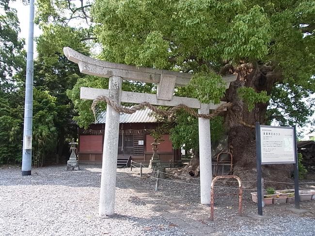 須賀神社　鳥居より
