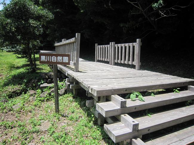 静岡市清水森林公園やすらぎの森　黒川自然園