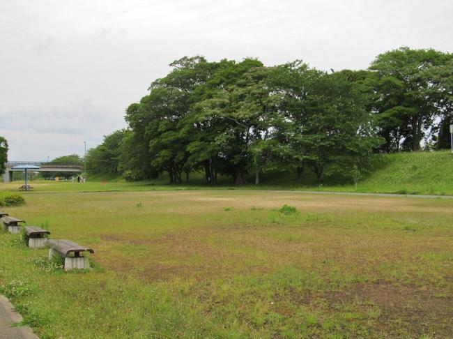 かわせみ公園　芝生広場
