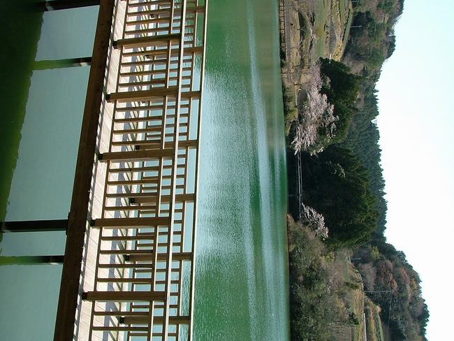 丹野池公園とウッドデッキ
