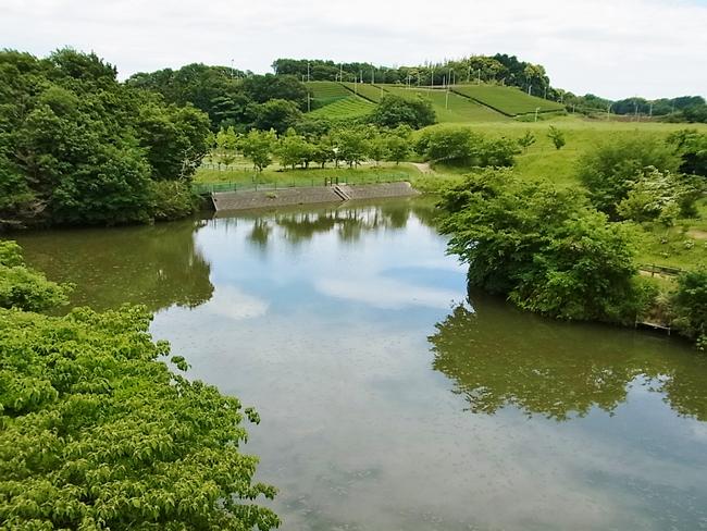 堤ヶ谷池