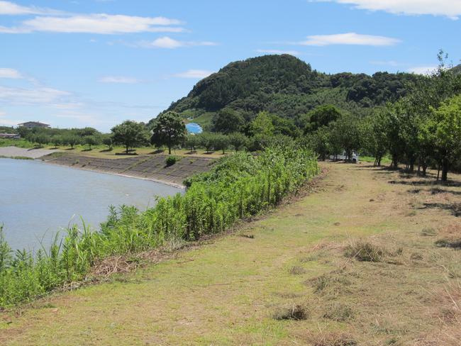 トイ川緑地広場　朝比奈川下流