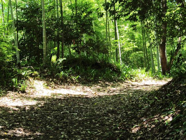 竹林・山道