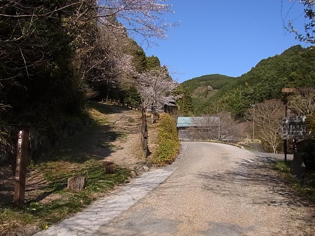 つたの細道　入口