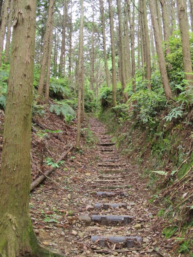 山道