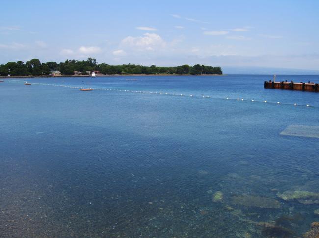 透明度の高い湾内