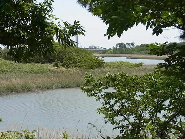 河川