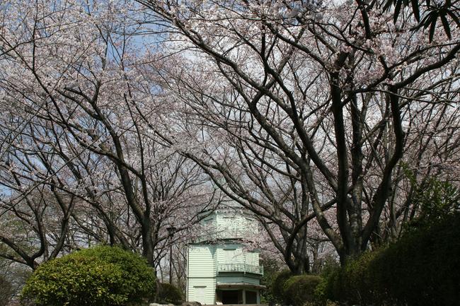 広見公園（眺望館）