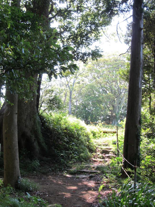 山道