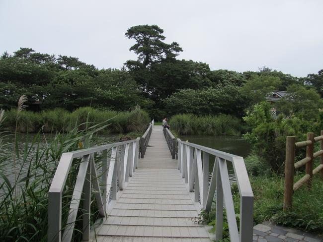橋