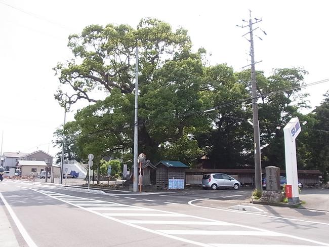 道路北側より