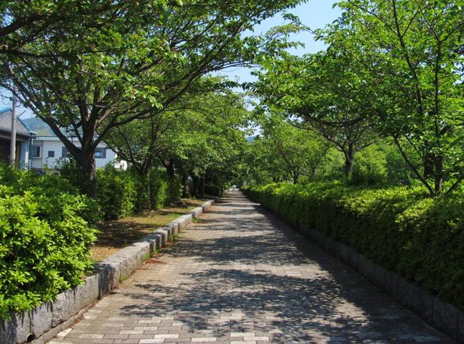 歩道