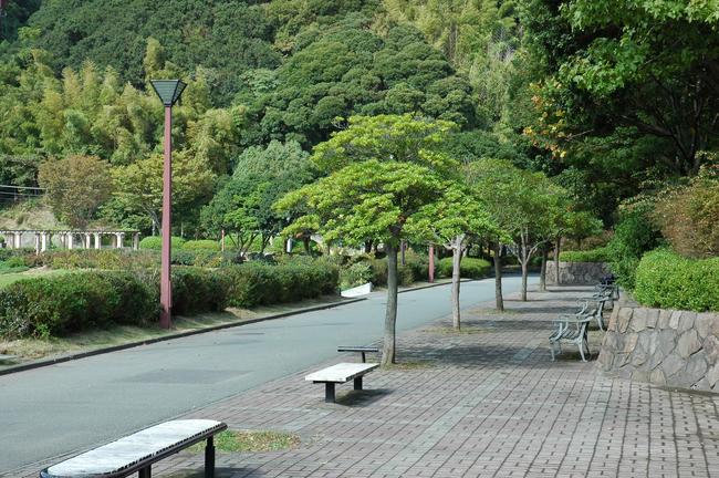歩道