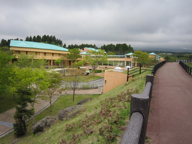 全景
