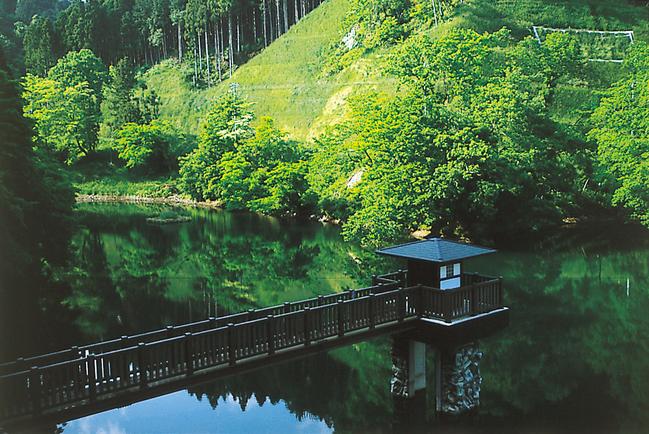 八重桐の池