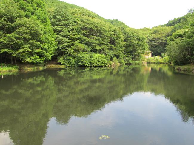 池