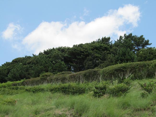 高台