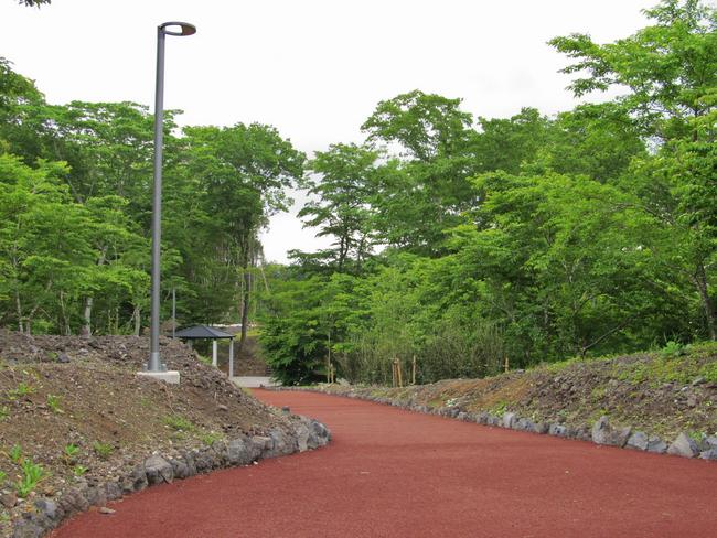 街灯・遊歩道